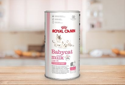 Packshot Royal Canin Babycat milk voor kittens