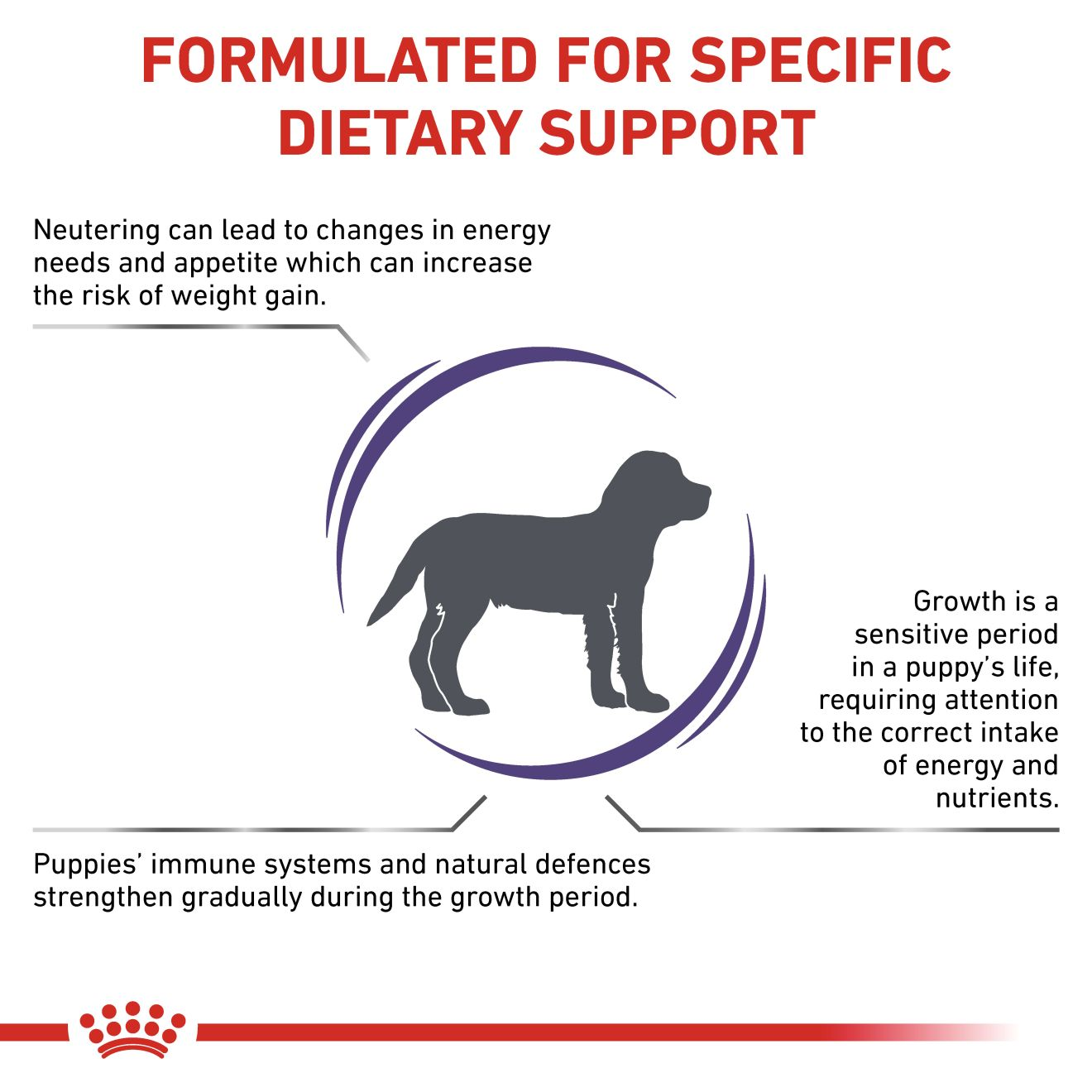 VHN Dog Neutered Junior Medium