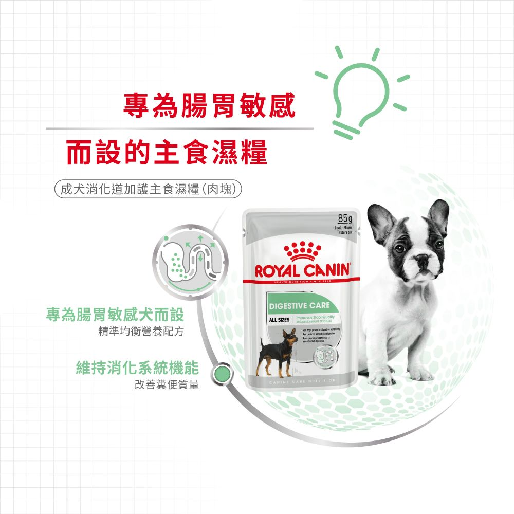 CCN 成犬消化道加護主食濕糧（肉塊）