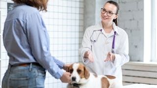 Consultația optimă în clinică (Partea 2)
