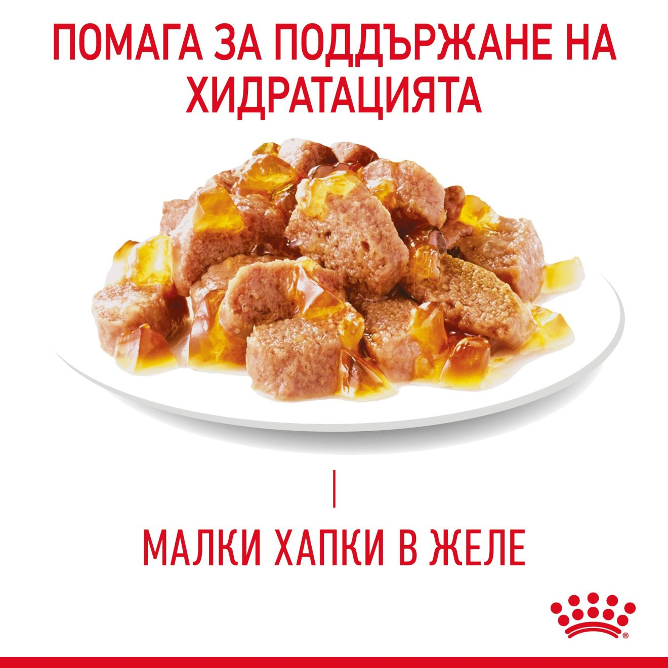 URINARY CARE Малки хапки в желе