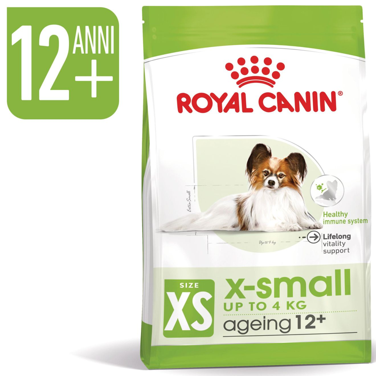 X-Small Ageing 12+