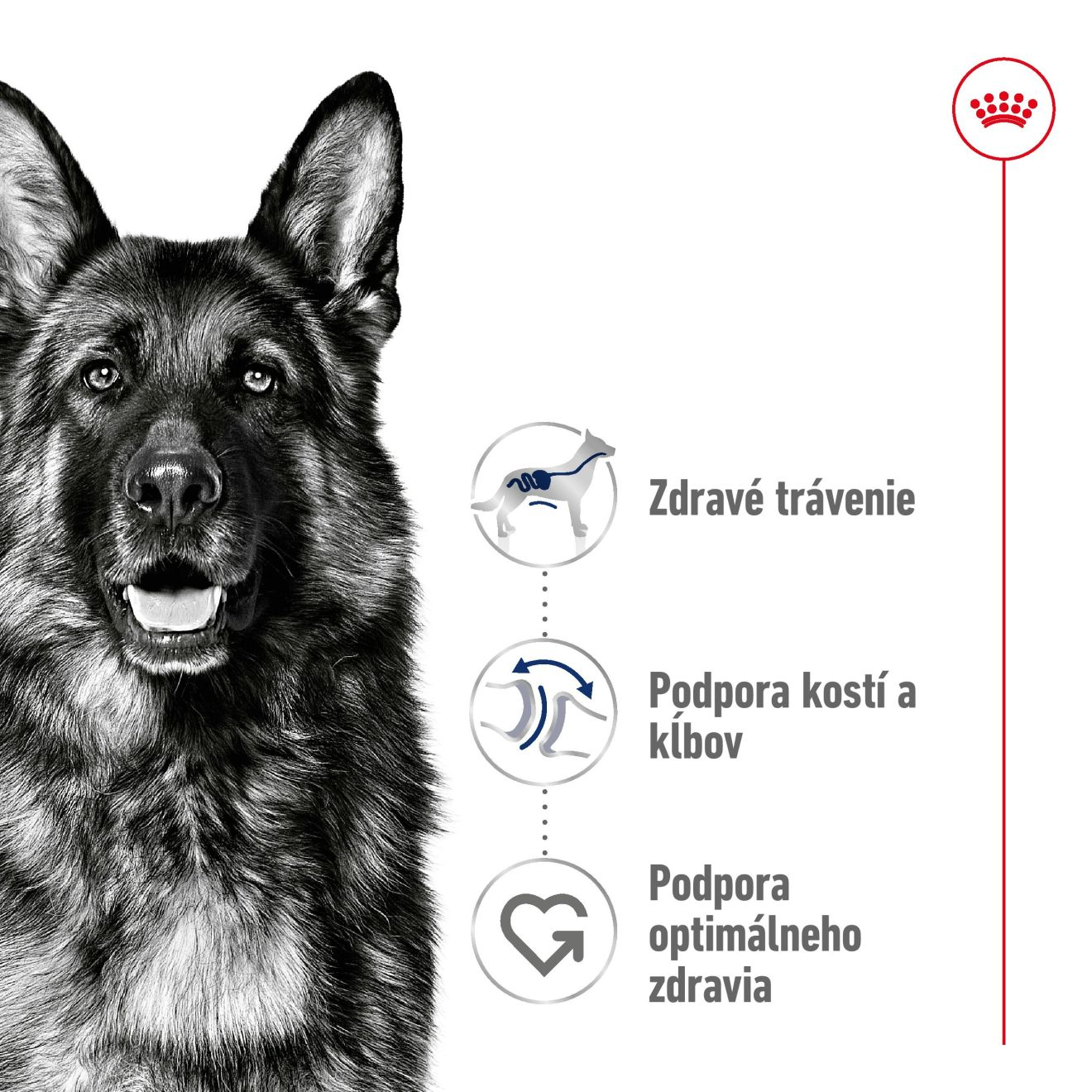 Maxi Adult