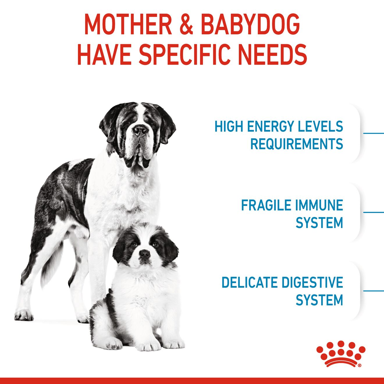 Starter Mother & Babydog - Giant