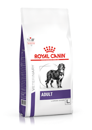 Royal Canin Adult Large Dog kuivtoit