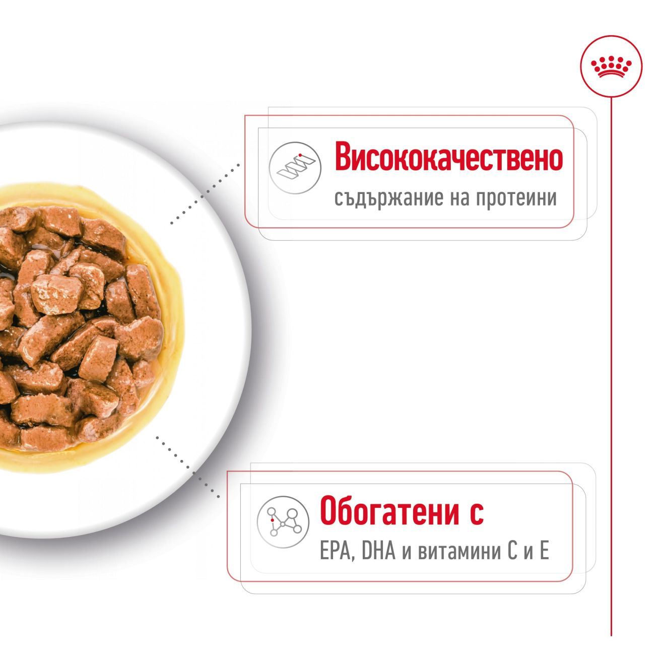 MEDIUM AGEING - CHUNKS IN GRAVY