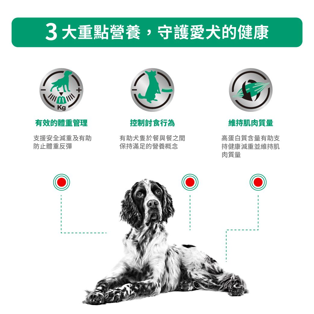 成犬飽足感處方罐頭