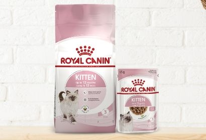 Royal Canin 幼貓產品