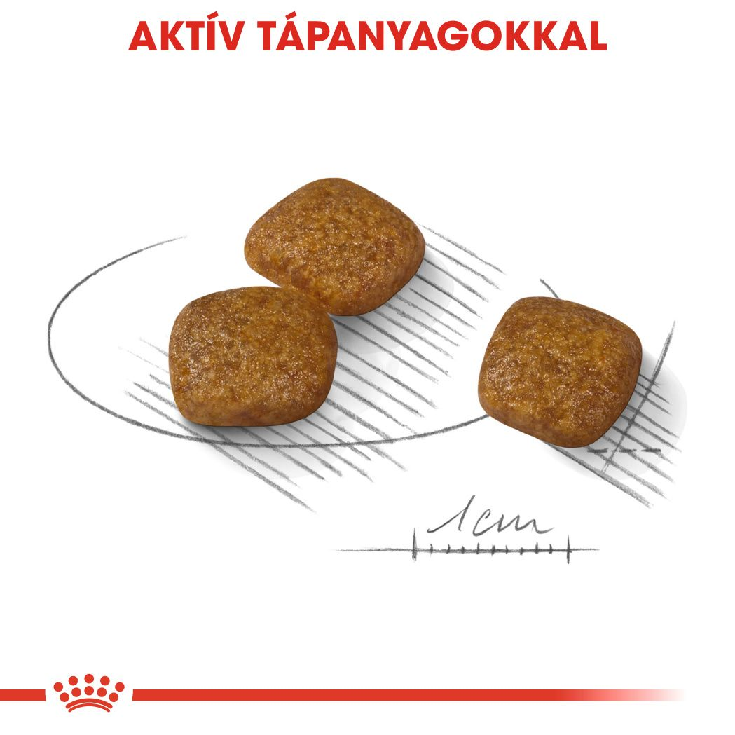 Mini Urinary Care