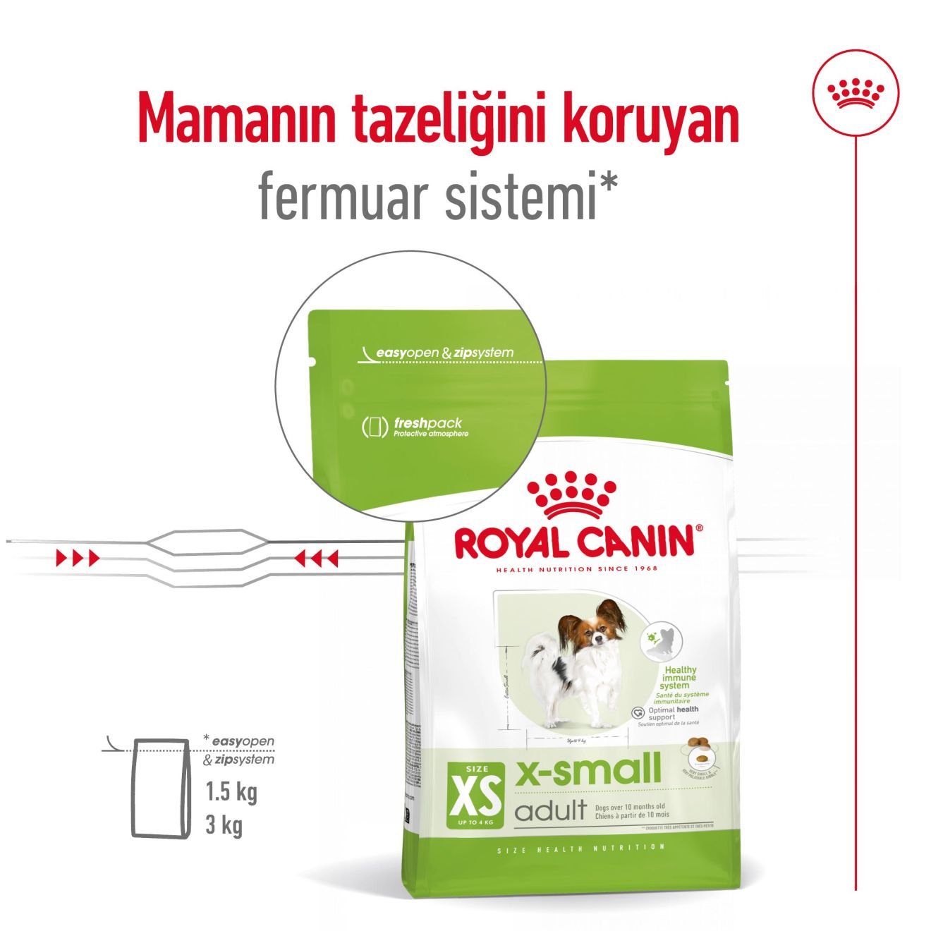 Xsmall Adult