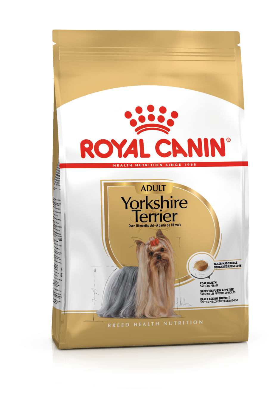 Yorkshire Terrier Adult