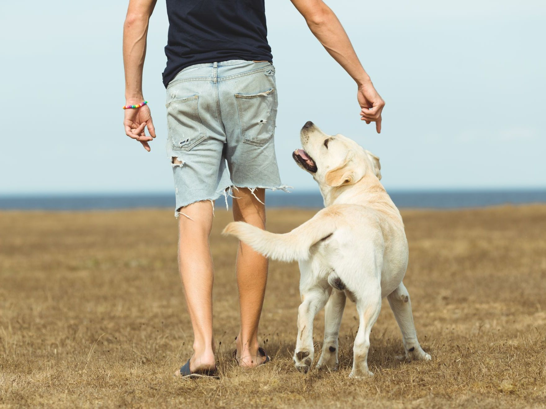 un homme avec son labrador blanc à l’extérieur