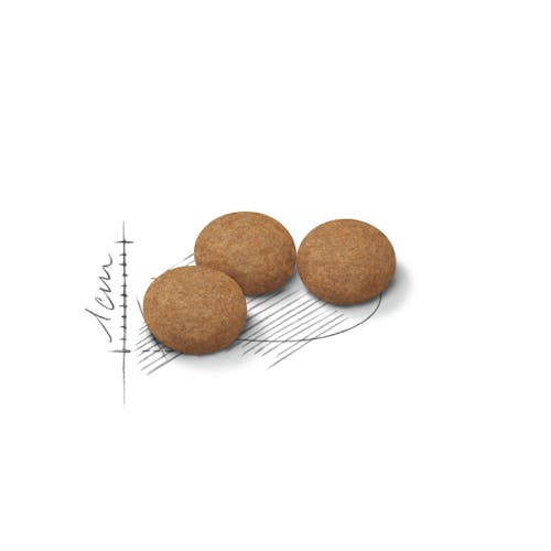 Sterilised Ageing 12+ – Cat Retail Products | Royal Canin Shop
