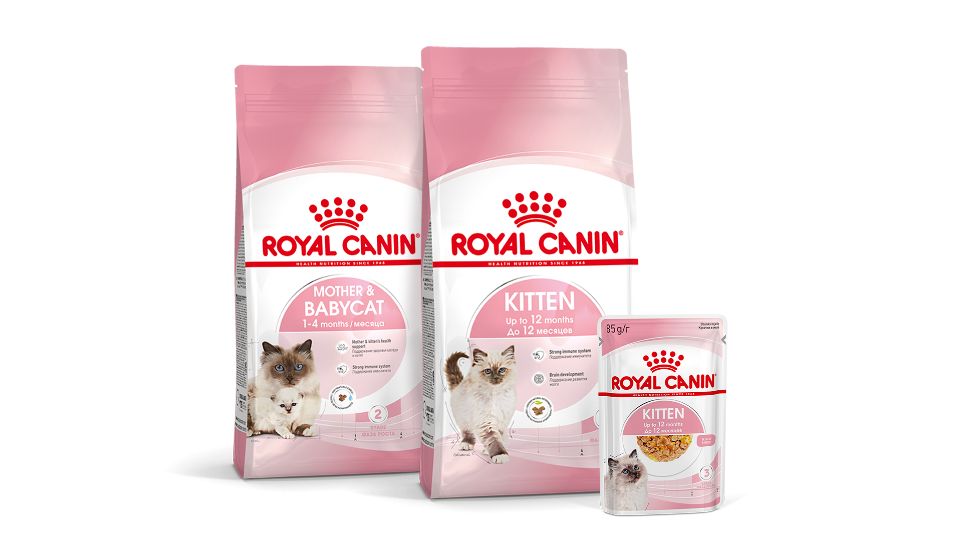 Котенок в доме: первая неделя с вами | Royal Canin