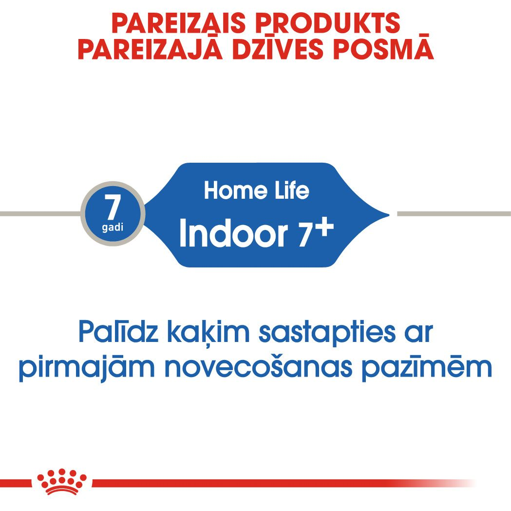 Indoor 7+