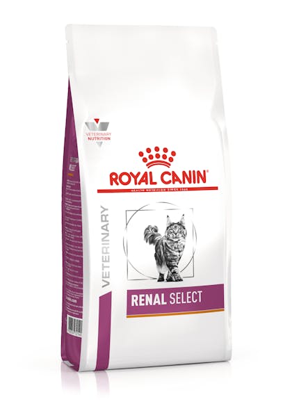 VHN-VITAL SUPPORT-RENAL SELECT CAT DRY-PACKSHOT