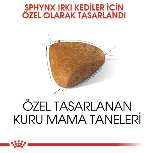 Sphynx Adult Yetişkin Kedi Kuru Maması