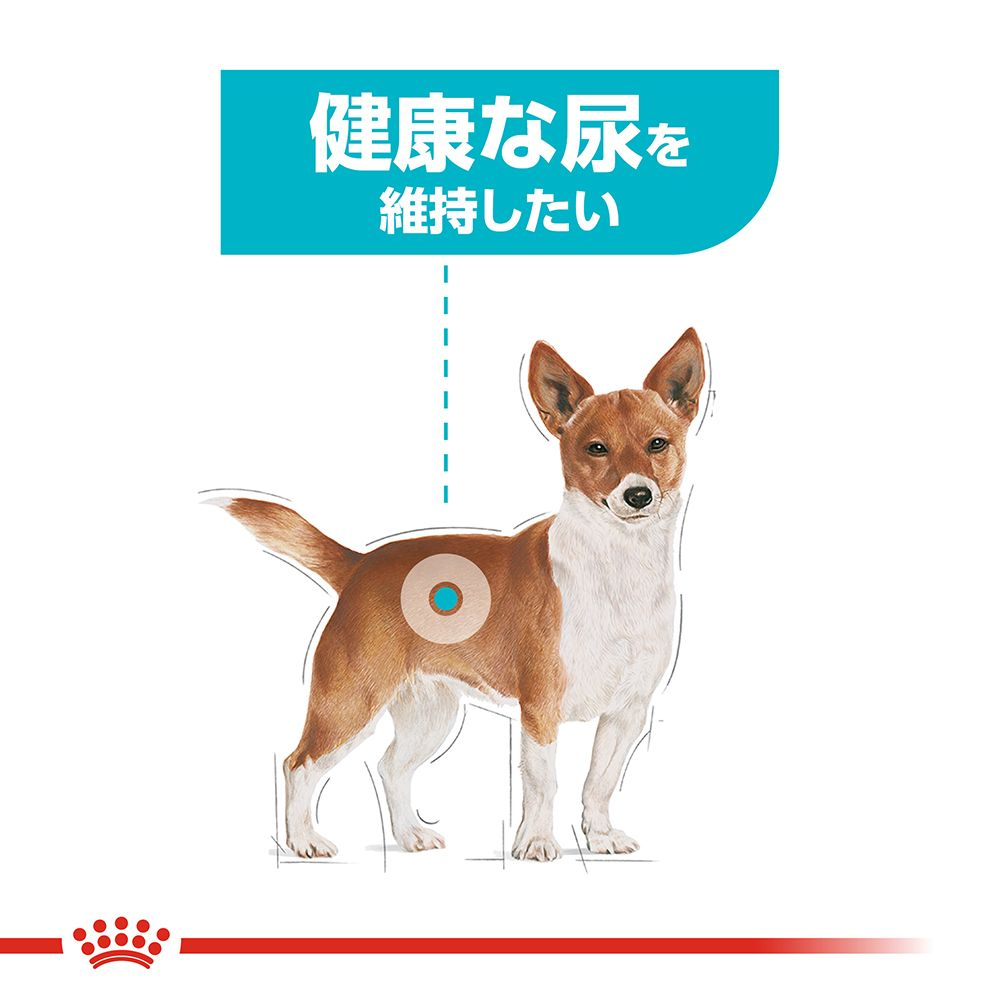 ミニ ユリナリー ケア （健康な尿を維持したい犬用）