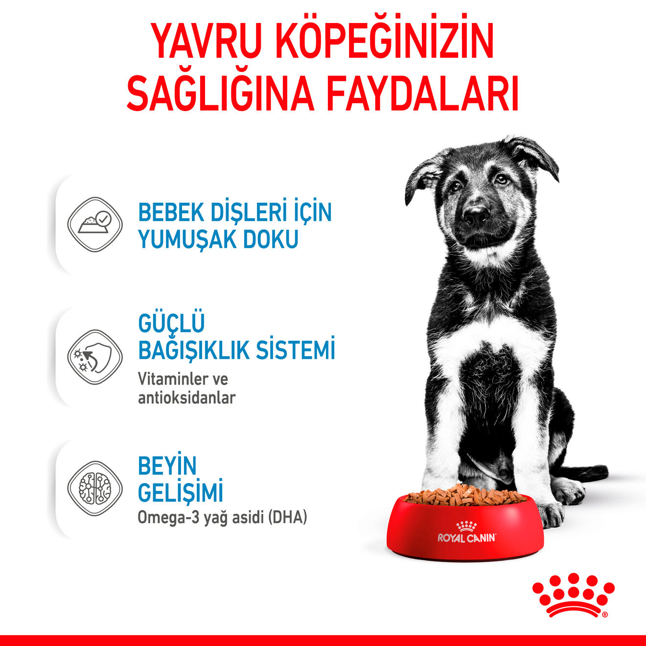 Maxi Puppy Gravy Yavru Köpek Yaş Maması
