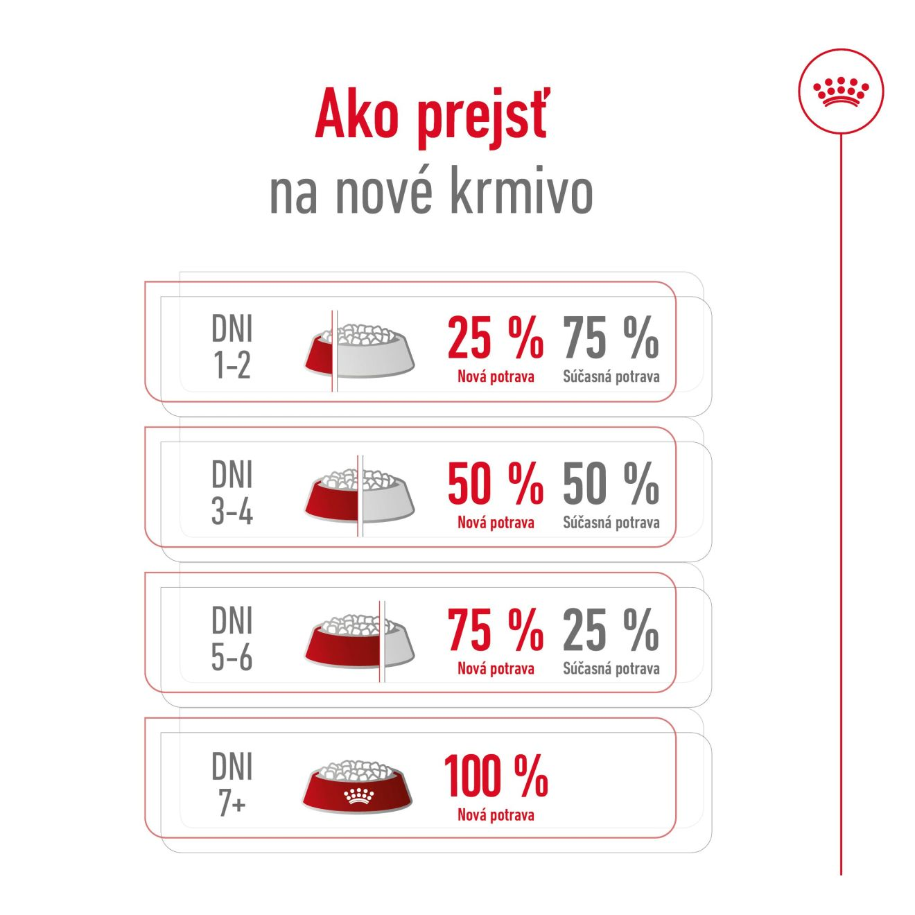 Maxi Adult