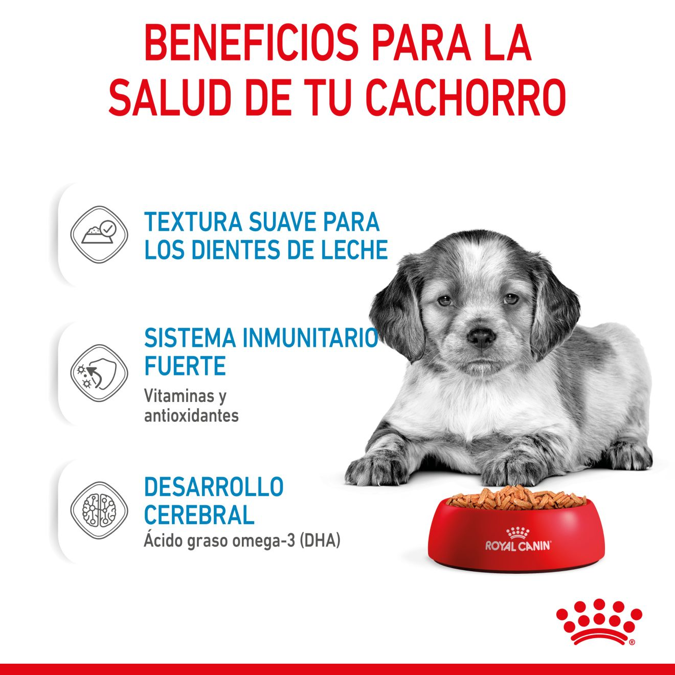 PUPPY - MEDIUM - Trocitos en salsa