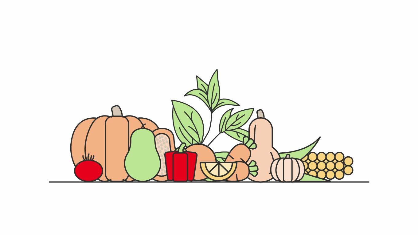 Illustration of vegetables