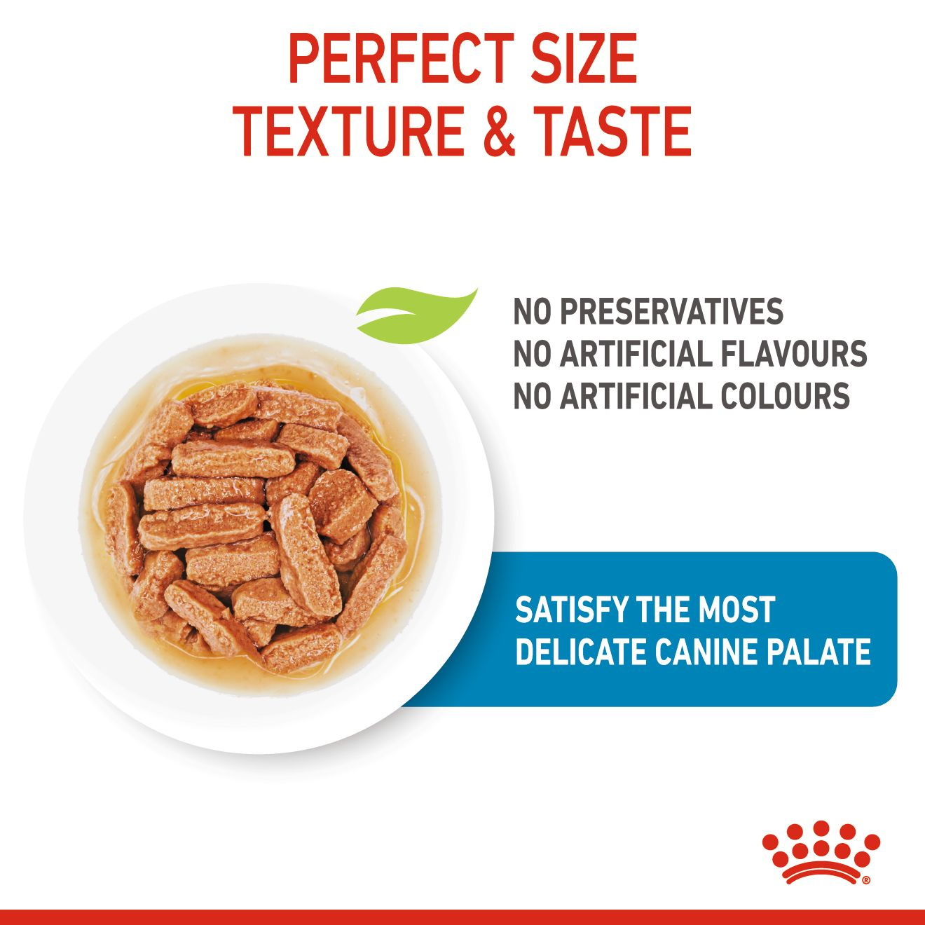 PUPPY - MEDIUM - Chunks in gravy | Royal Canin MT