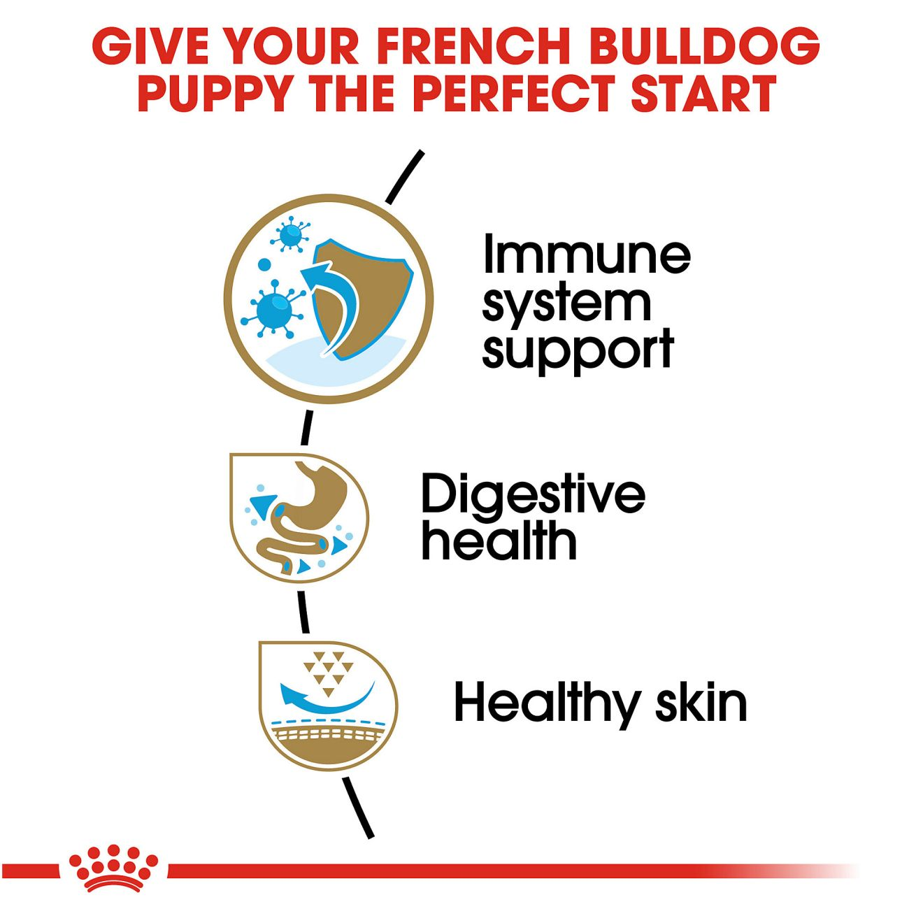 French bulldog hotsell puppy food