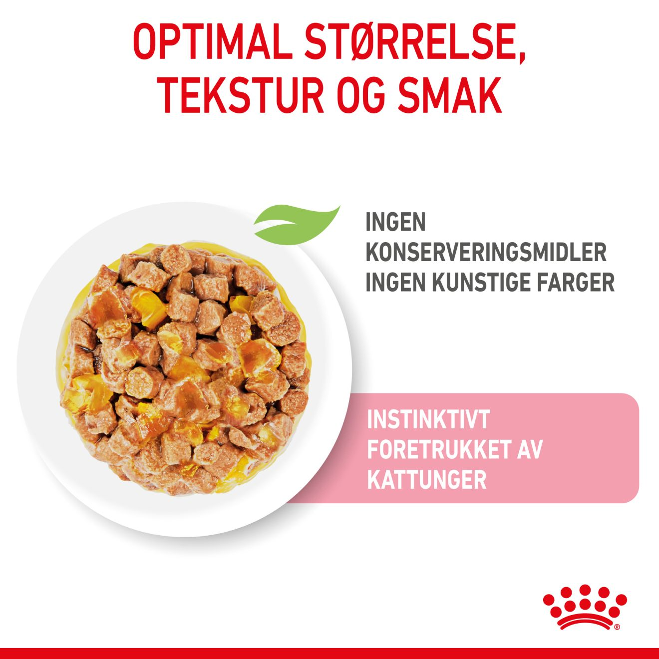 Kitten Sterilised Jelly