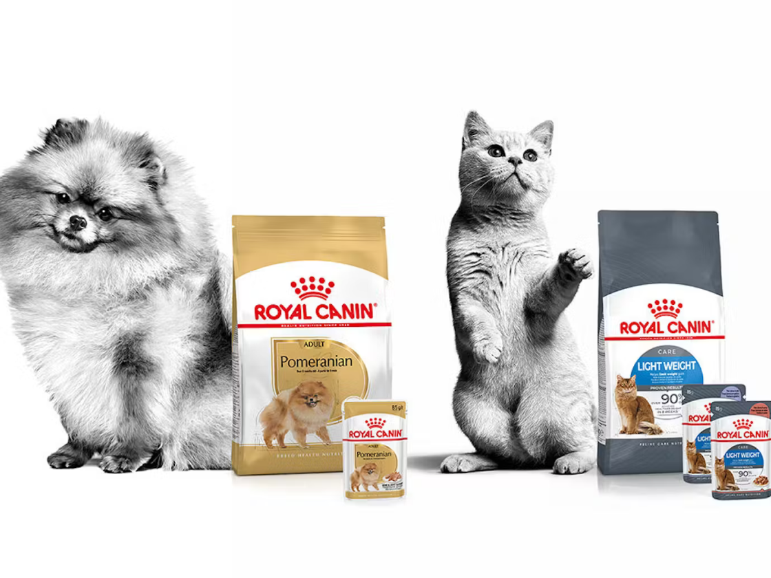 Why shop Royal Canin online store Royal Canin US Royal Canin US