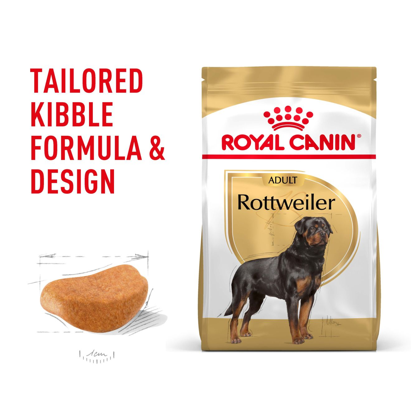 Rottweiler Adult