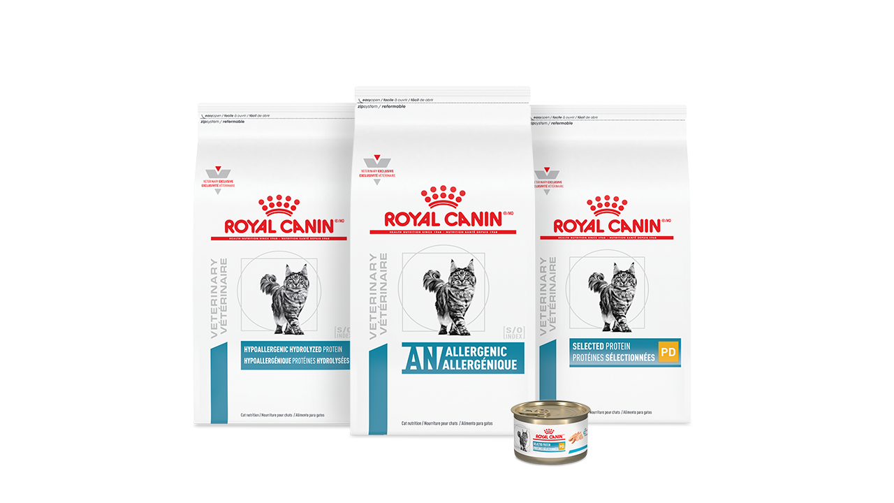 Royal canin veterinary diet hypoallergenic clearance chat