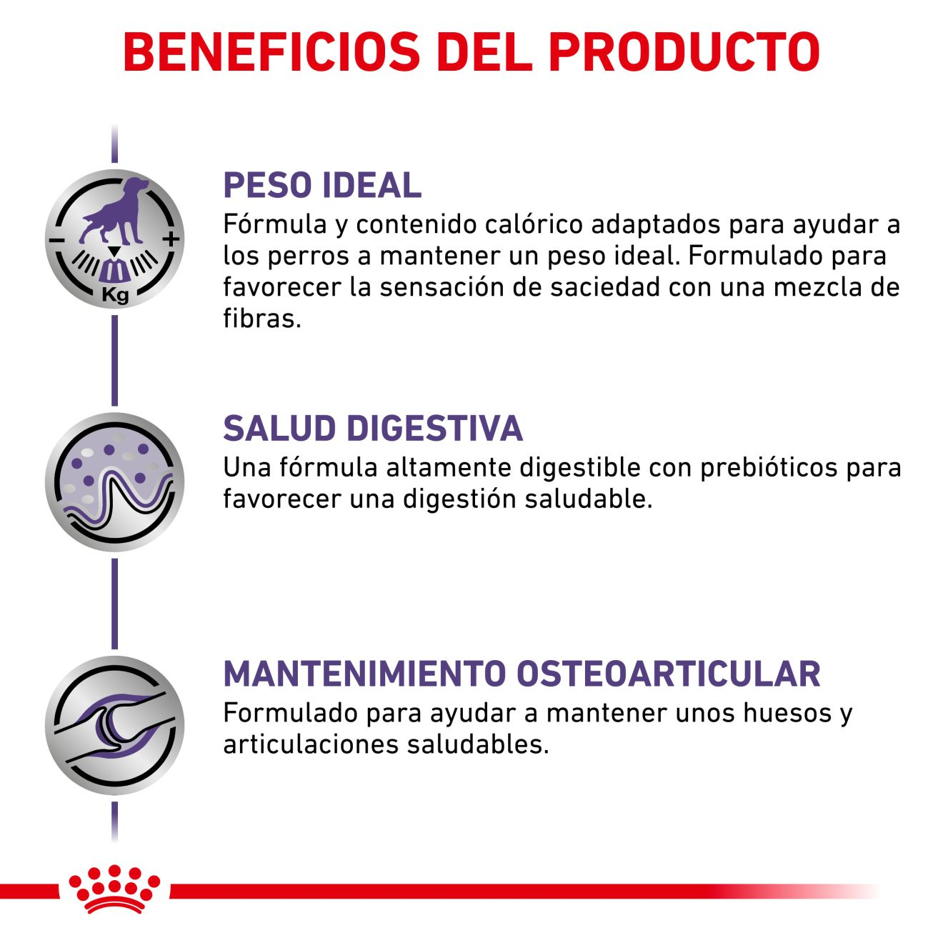 Neutered Adult Large Dog Royal Canin ES