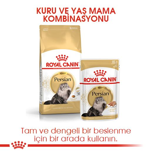 Persian cat shop food royal canin