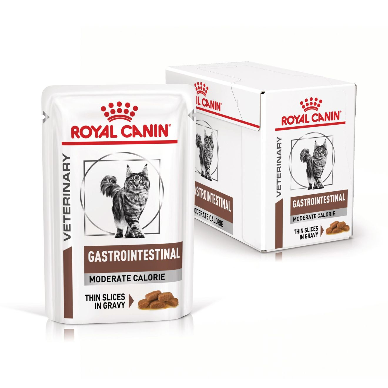Gastrointestinal Moderate Calorie