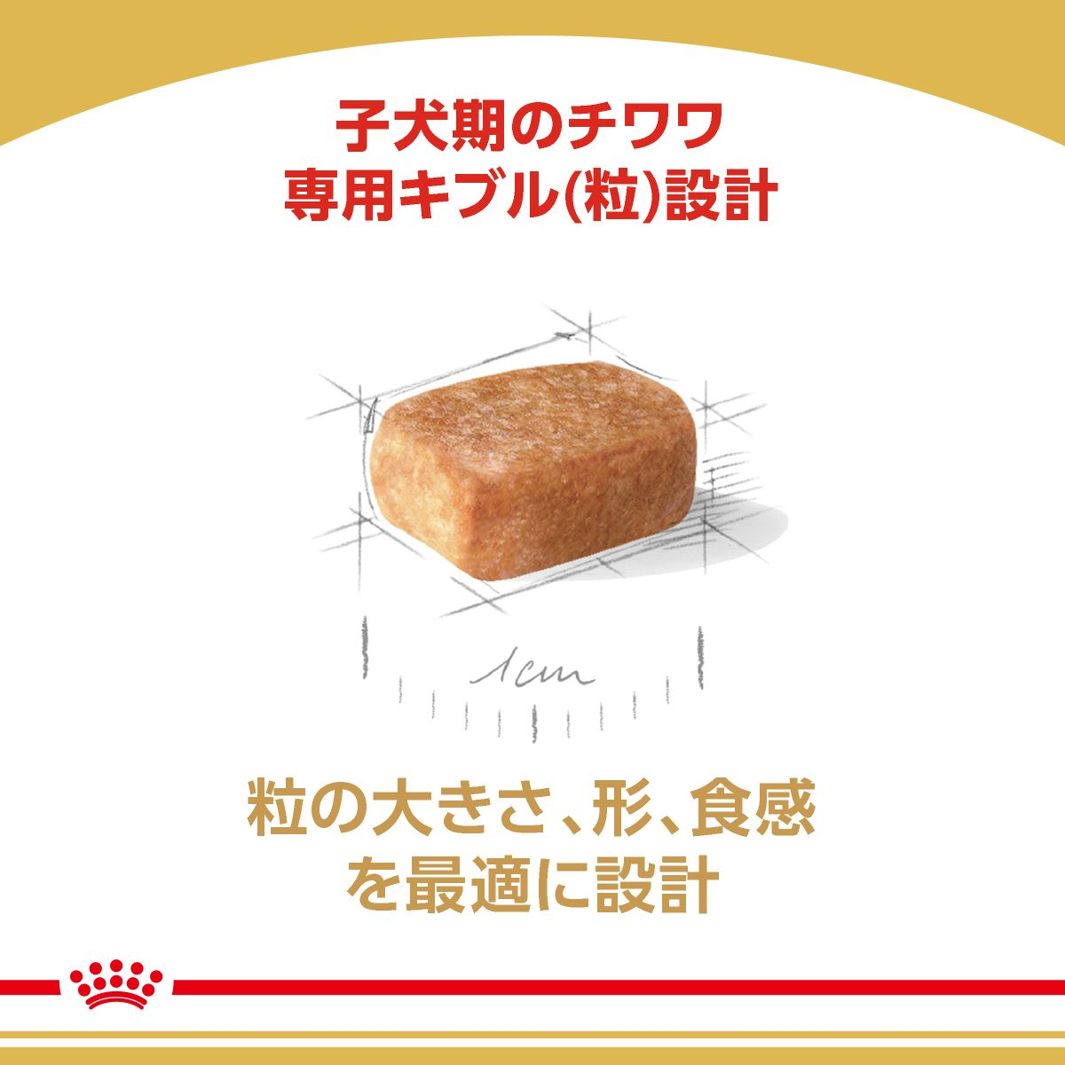 チワワ （子犬用 ドライ） | Royal Canin JP