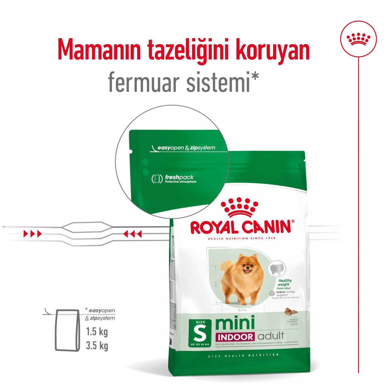 Mini Indoor Adult