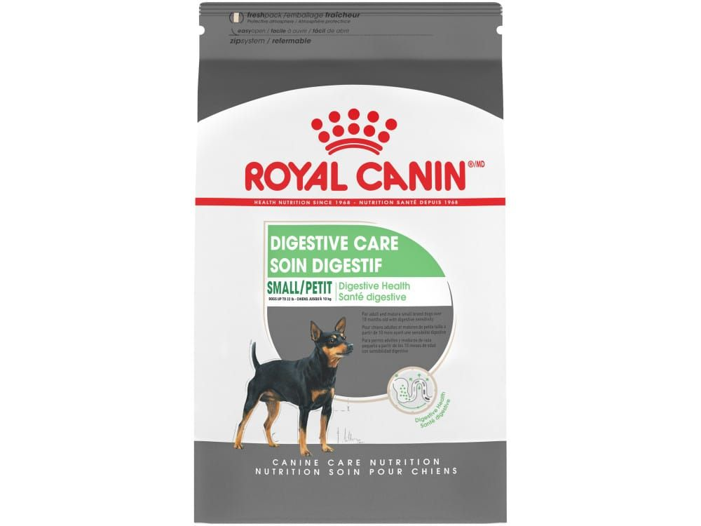 Royal 2025 canin doberman