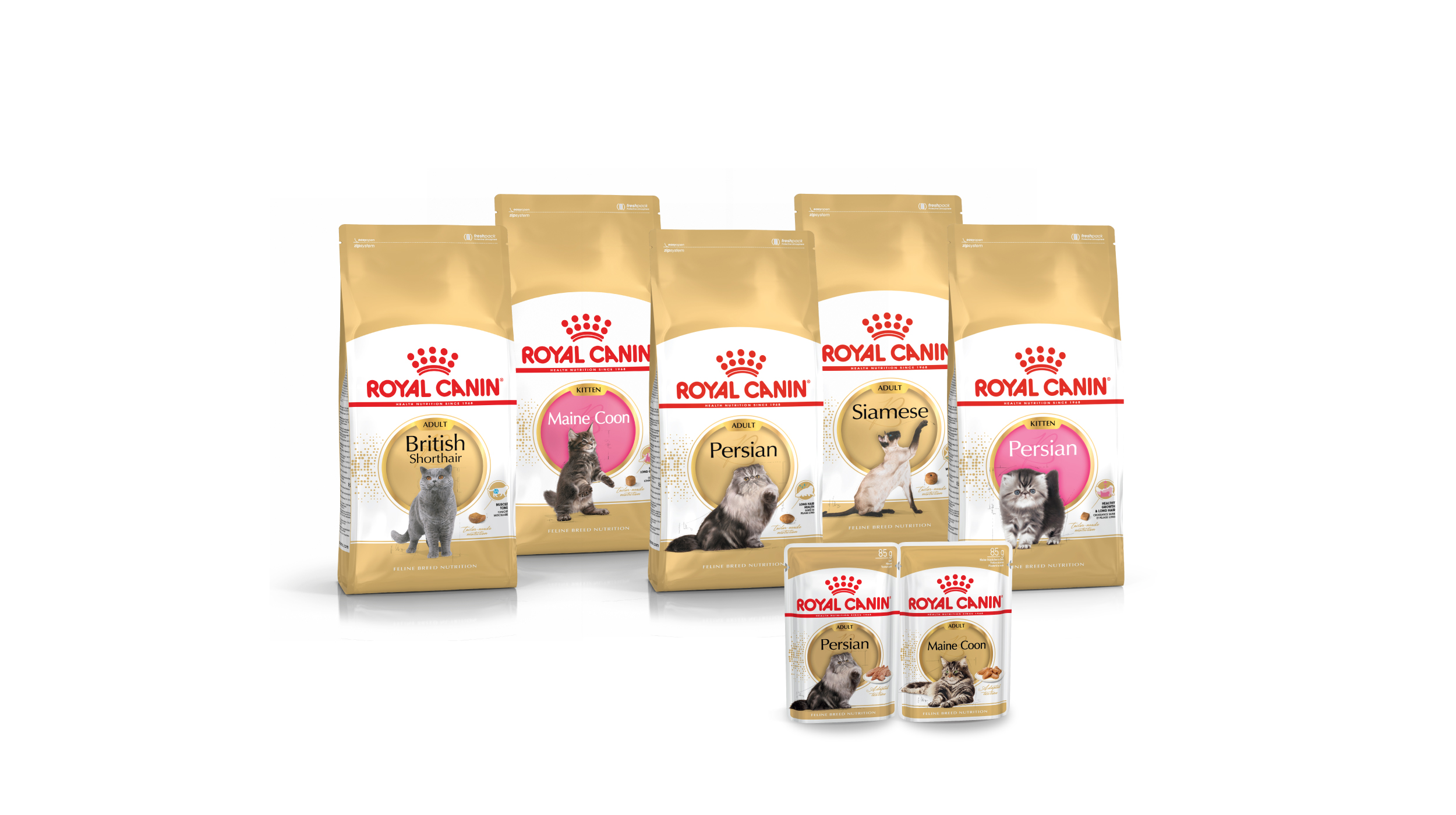 Fajtatiszta a macskája?