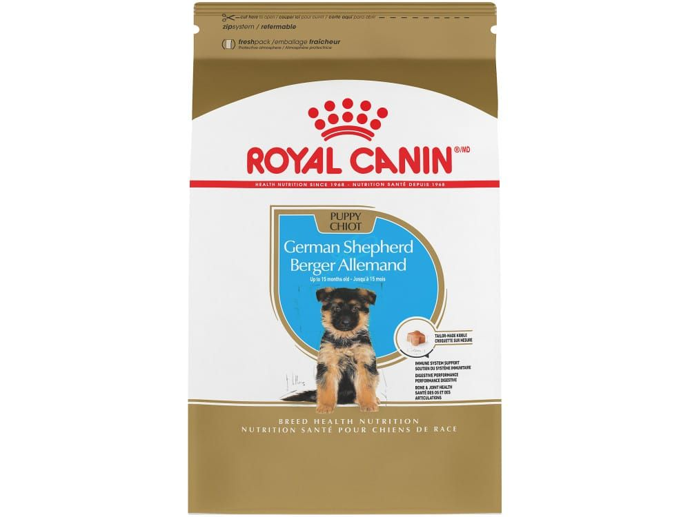 German Shepherd Puppy