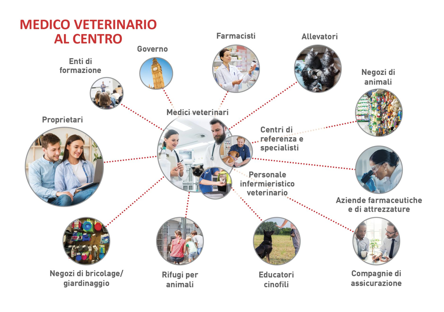 . I vari stakeholder con, al centro, il medico veterinario