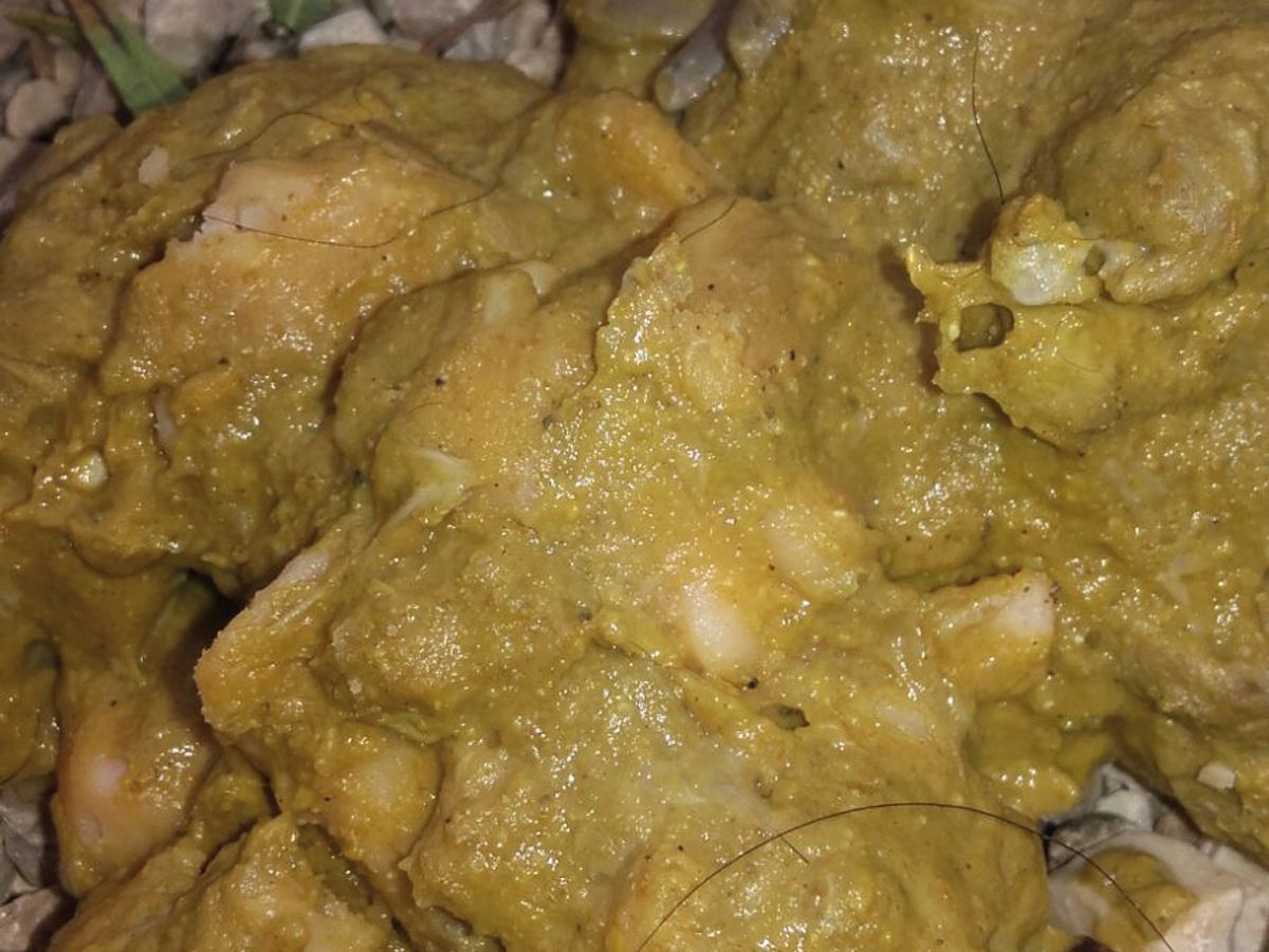 Exocrine pancreatic insufficiency in dogs Vet Focus