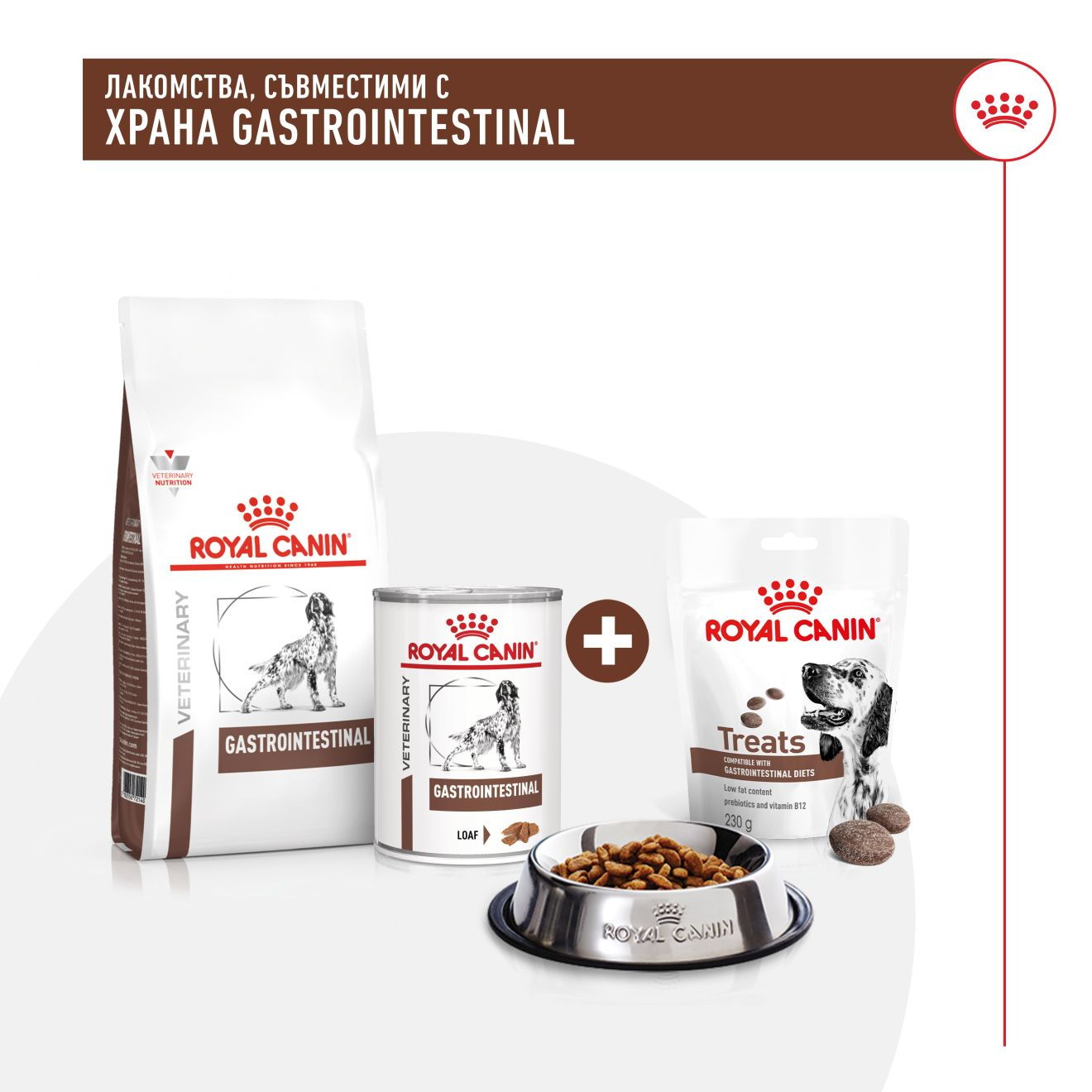 TREATS COMPATIBLE WITH GASTROINTESTINAL DIETS​