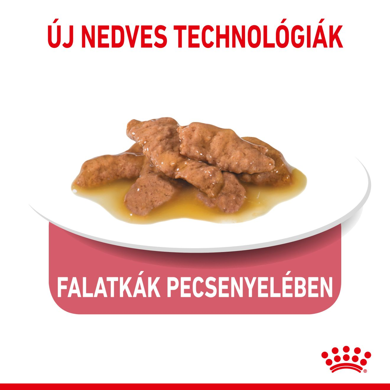 Indoor Sterilized Morsels in Gravy