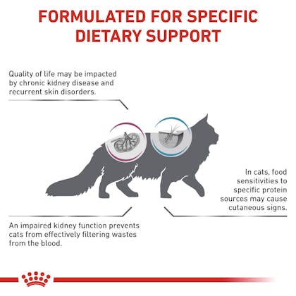 RC-VET-DRY-CatRenalHypo-Eretailkit-B1-CV-2