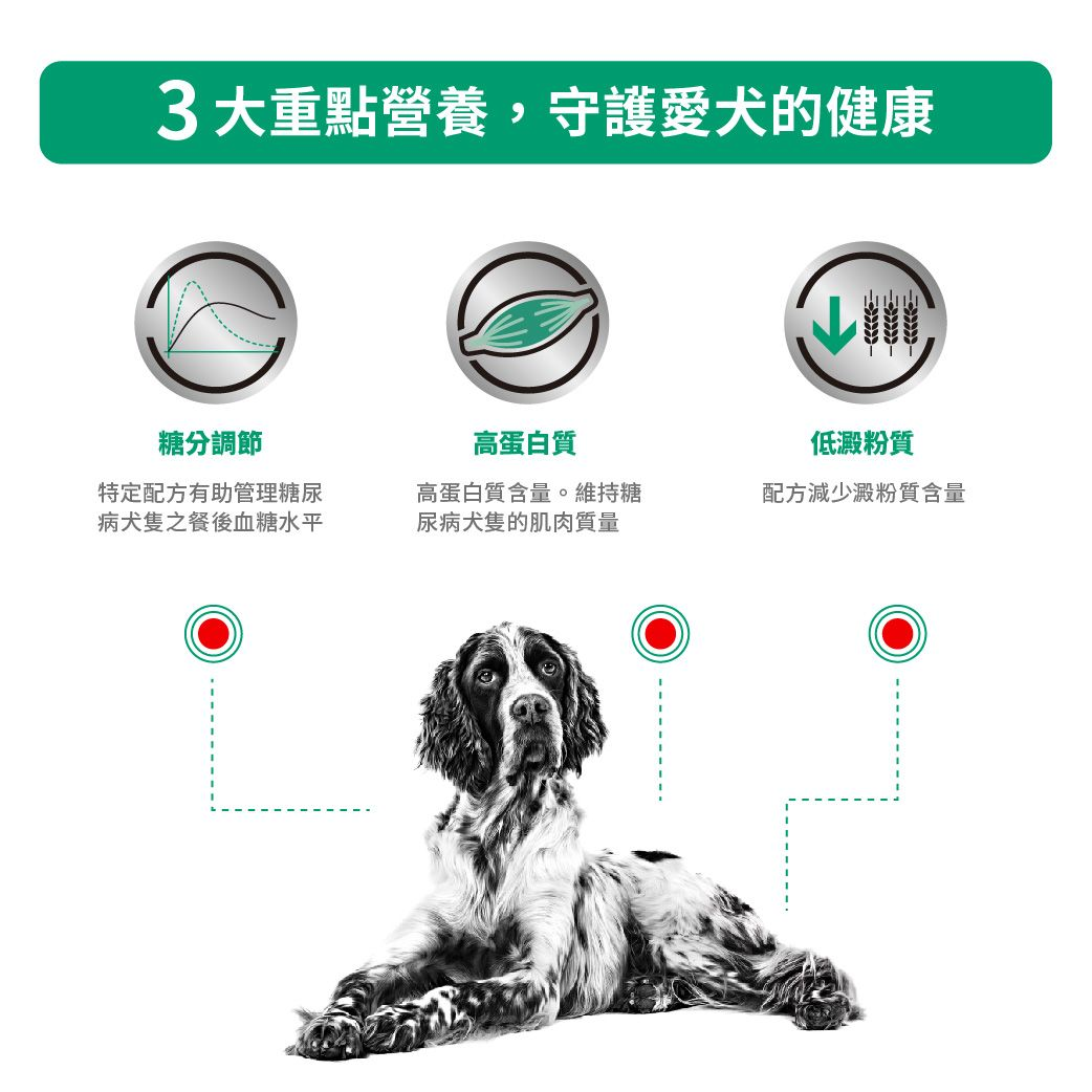 成犬糖尿病處方