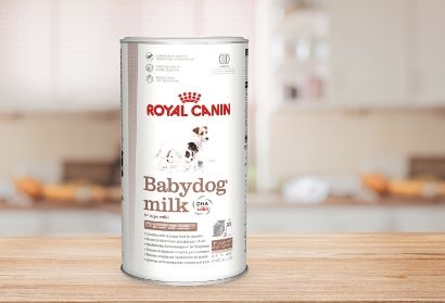 babydog milk