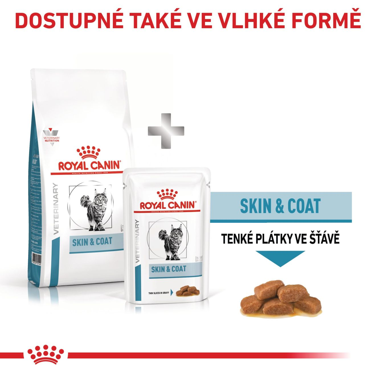 Cat Skin & Coat