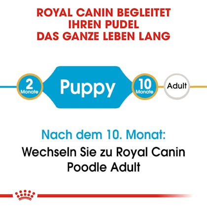 RC-BHN-Puppy_Poodle-Trockennahrung_2-Monate_DE