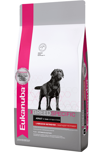 Eukanuba labrador food hotsell